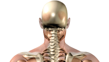 Avenue Health Osteopathy