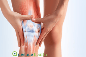 knee pain - Anatomy of the knee